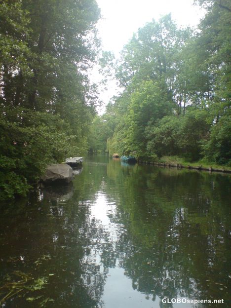 A calm day in the Spreewald
