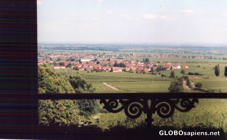 View to Edenkoben / German Wine Route