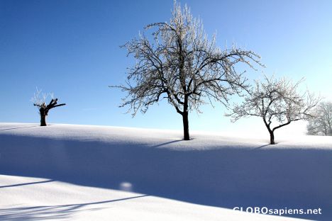 Postcard winter-wonder-land