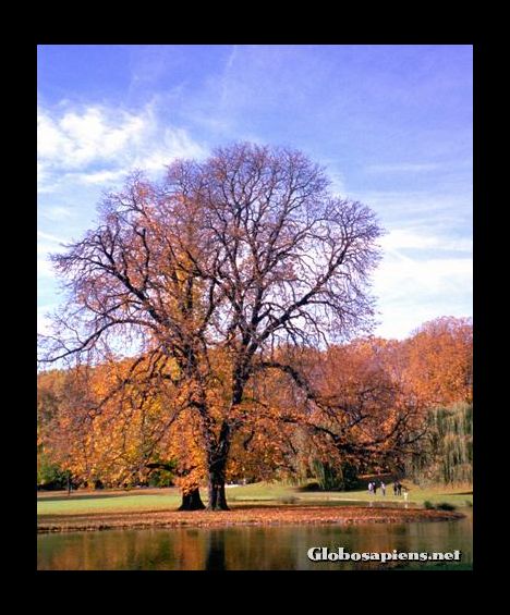 Postcard Autumn in the Schlossgarten Park