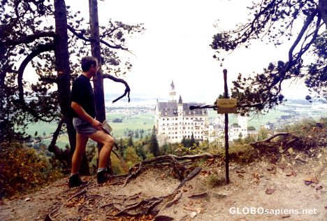 Postcard Overlooking Neu Schwanstein Castle
