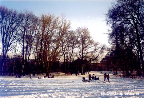 Postcard Winter Fun in the Park