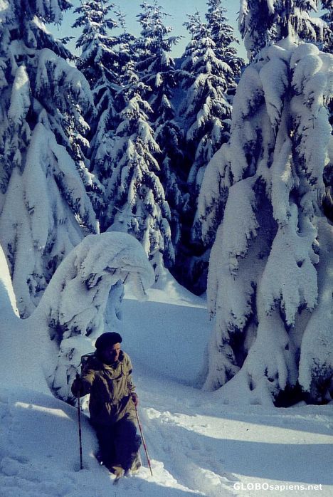Postcard Alpine Winter Hike