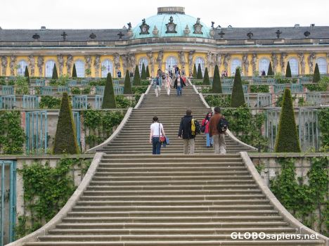Postcard Potsdam - Schloss Sanssouci -