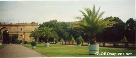 Postcard The Orangerie