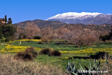 Postcard Springtime in Crete