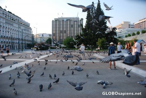Postcard pigeons in athenae