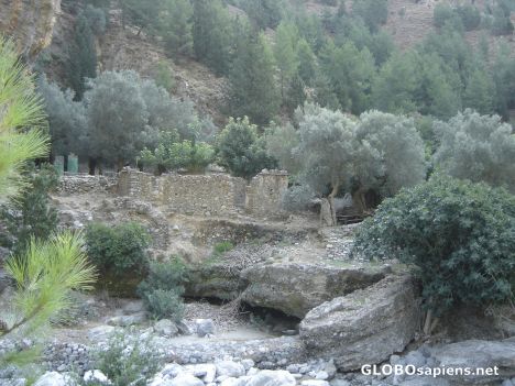 Postcard Ancient Samaria City