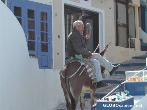 Postcard Man on Donkey, Santorini