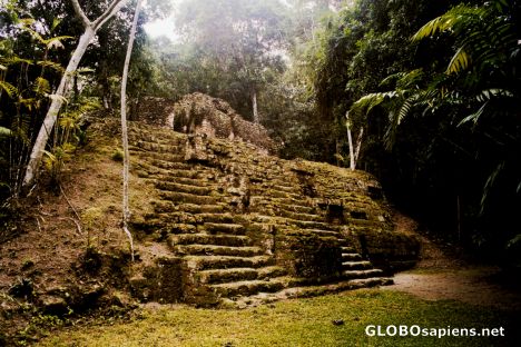 Postcard Tikal - Lost World