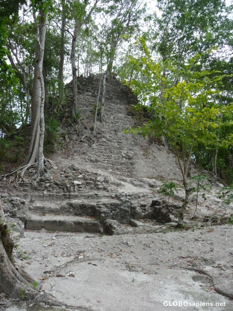 Postcard La Danta's Triatic Temple on top level