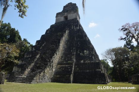 Postcard Tikal in the sunlight