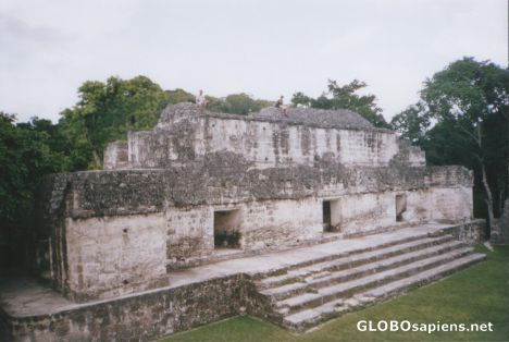 Postcard The Acropolis (Tikal)