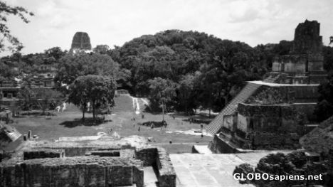 Postcard The Plaza (Tikal)