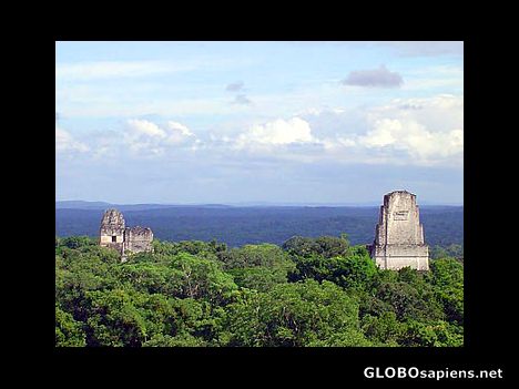 Postcard Mayan temples at Tikal