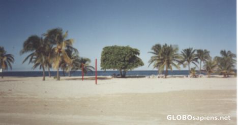 Postcard Labadee Beach