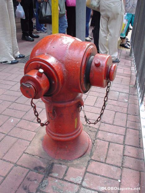 Postcard hydrant
