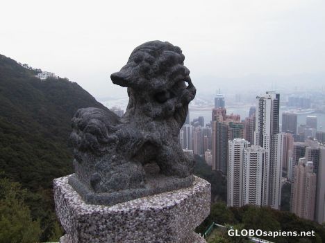 Postcard HK Lion