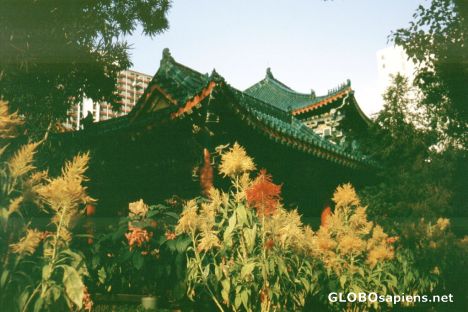 Postcard Honkong, Temple