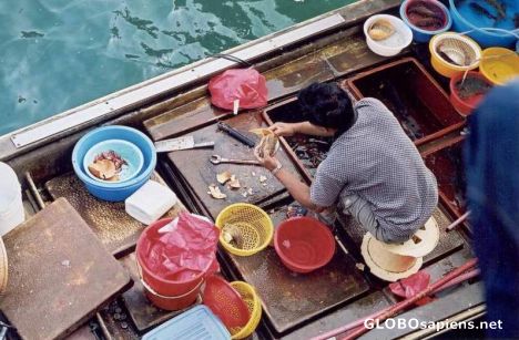 Postcard fisherman in Sai Kung