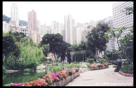 Postcard Hong Kong Park