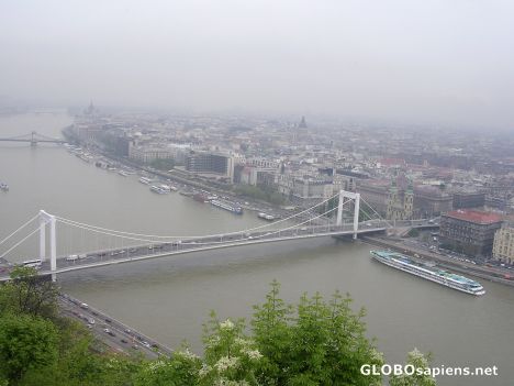 Postcard Budapest - Erzsébet Bridge