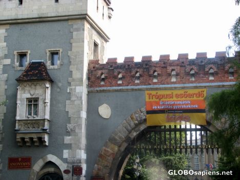 Postcard Vajdahunyad Castle - The Gothic Gate