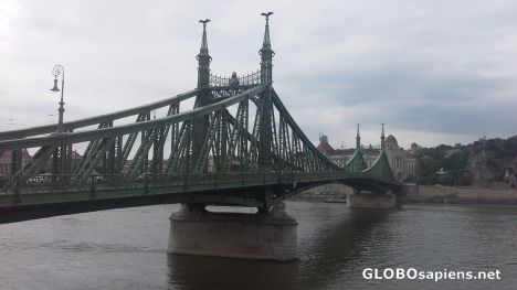 Postcard Szehenyi Bridge