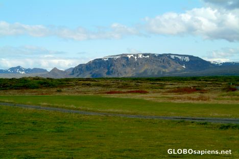 Postcard Thingvellir - green Iceland