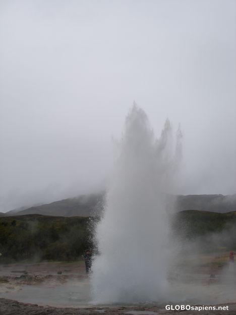 Postcard The geysers