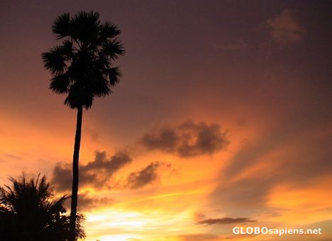 Postcard Kupang sunset