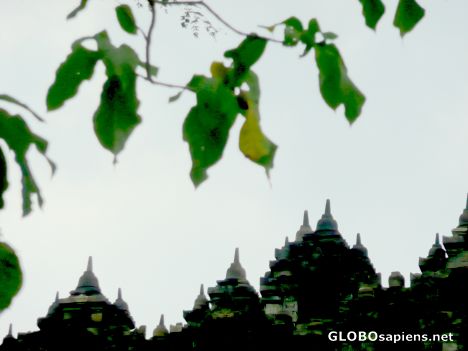 Postcard Brambanan temple