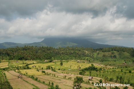 Postcard Rice terraces around Gunung Agung