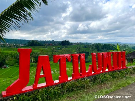 Postcard Jatiiluwih - Bali