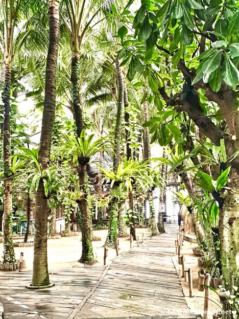 Postcard Bali - palm trees