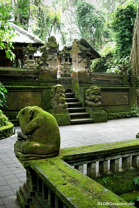 Postcard Bathing Temple, Sacred Monkey Forest Sanctuary