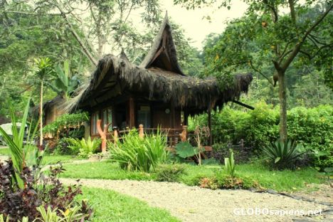 Postcard Sumatra Eco Resort / Sianok Eco Resort