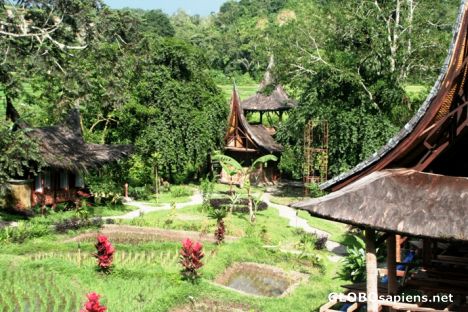 Postcard Sumatra Eco Resort / Sianok Eco Resort