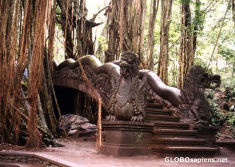 Postcard Ubud, Monkey Forest