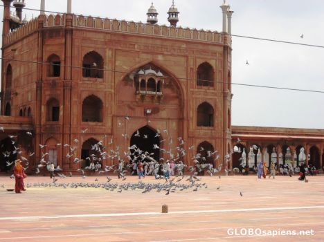 Postcard Jama Masjid-the Emperor's Gate