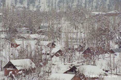 Postcard Winter in Gulmarg