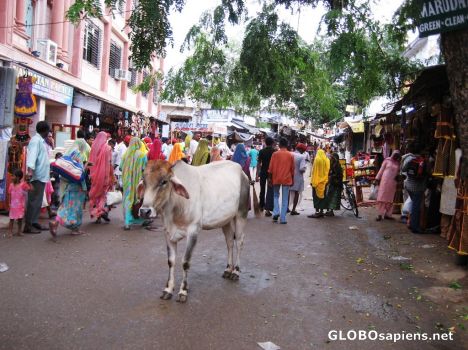 Postcard Chowk (Market) in Pushkar