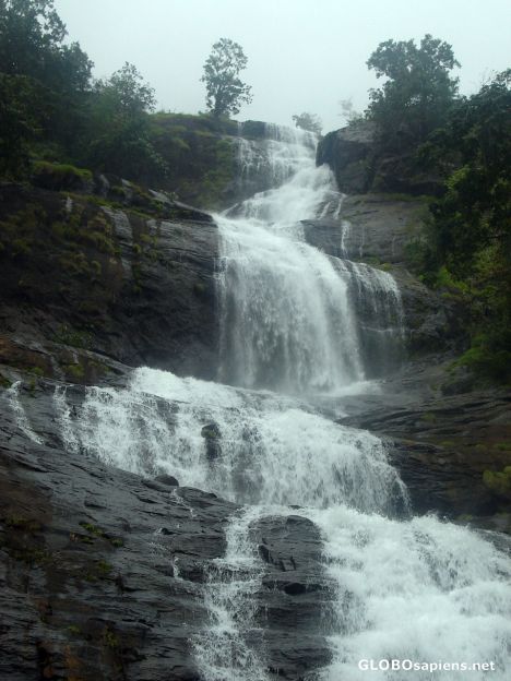 Postcard Waterfall in Munnar
