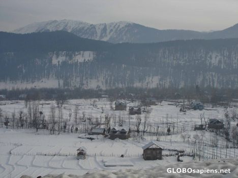 Postcard Snow covered paddy fields of Kashmir