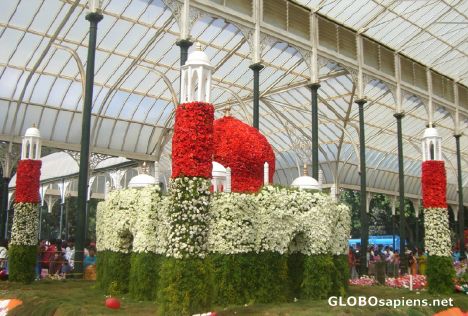 Postcard Flower show at Lalbagh