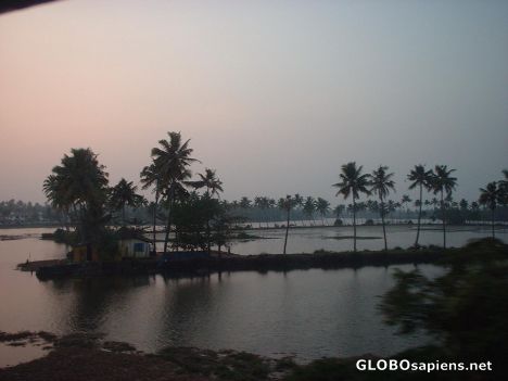 Postcard Kochi backwaters at dusk, Kerala, India