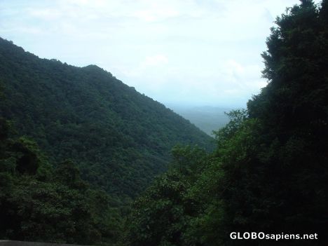 Postcard Tropical Rain Forests of Wayanadu, Kerala.