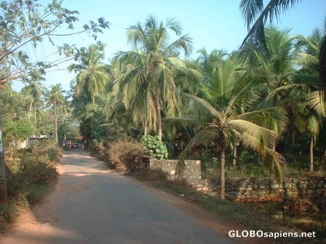 Postcard Beauty of North Keralan villages