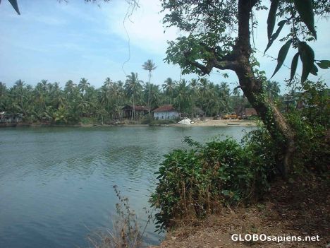Postcard Kerala backwaters near Kozhikode