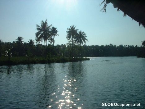 Postcard Vakkom backwaters near Kochi, another scene